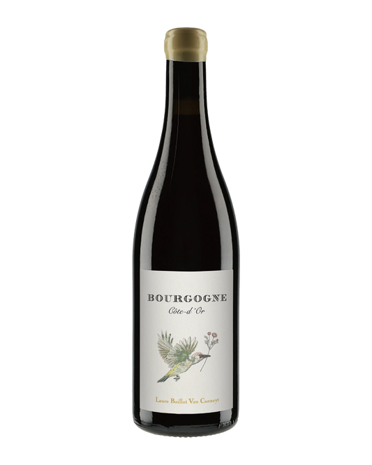 Baillot Van Canneyt Laure Bourgogne Cote D'Or Rouge 2021 750mL