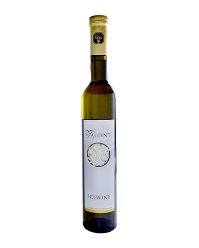 Valiant Vidal Ice Wine Cab Franc 375mL